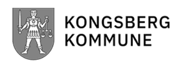 Kongsberg kommune